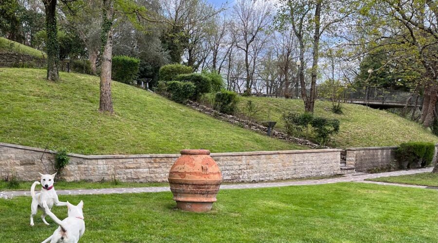 Tranquil picnic area at Adagio Umbro in early spring, surrounded by blooming greenery and fresh countryside views in Umbria, Italy.